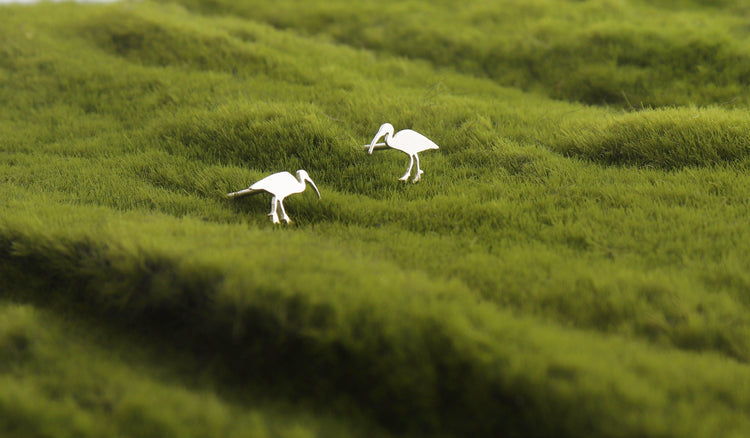Ibis Earrings in Sterling Silver - Sweet November Jewelry