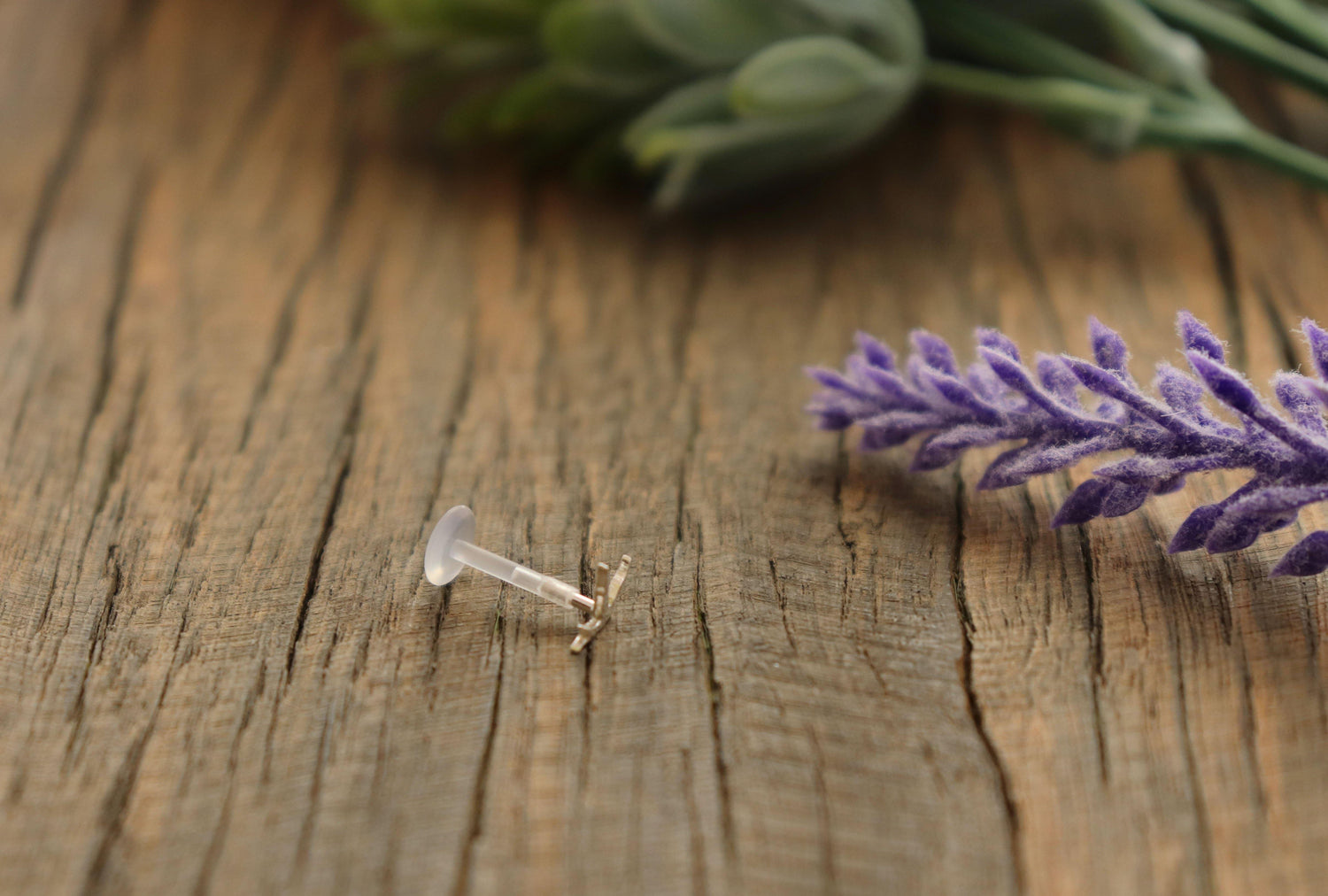 Tiny Flying Bird Tragus Stud - Sweet November Jewelry