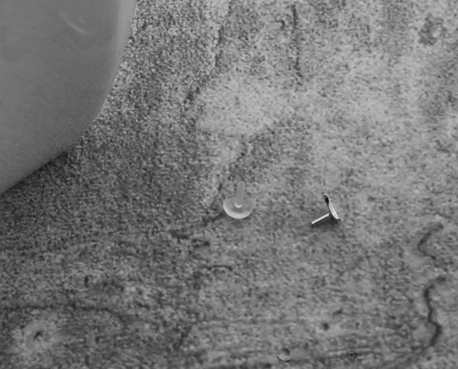 Boho Crescent Moon Tragus Stud, Sterling Silver Labret Earring - Sweet November Jewelry