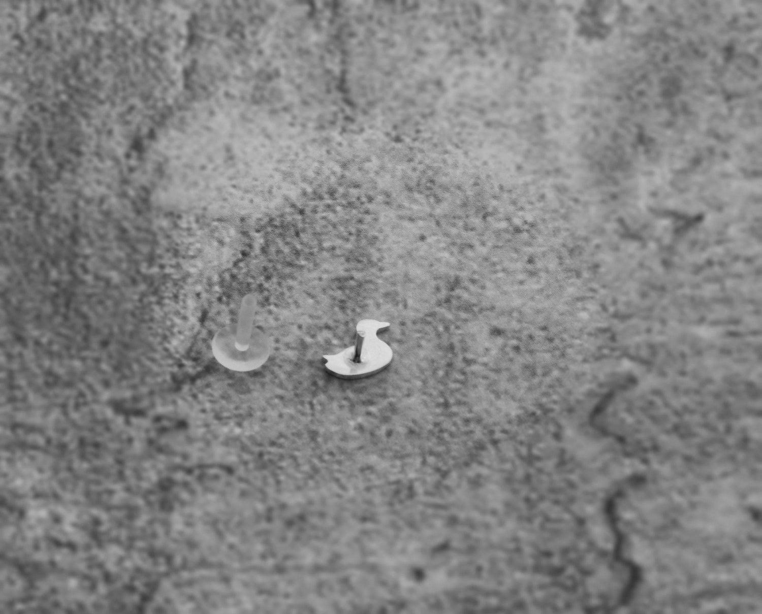7 mm Small Duck Tragus Stud - Sweet November Jewelry