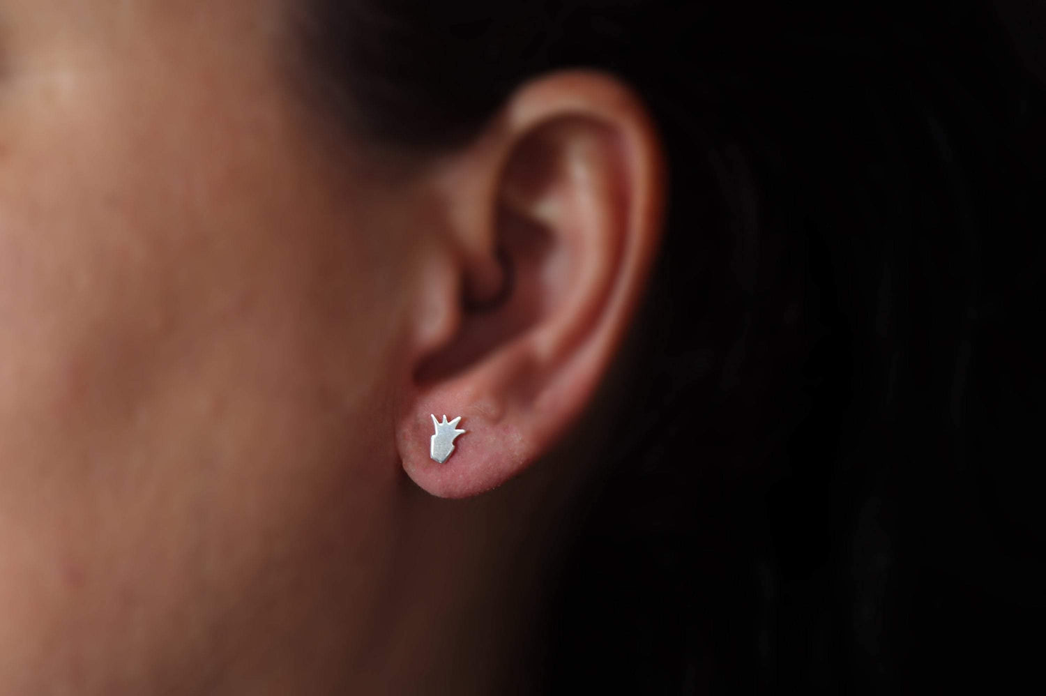 Mini Potted Succulent Stud Earrings - Sweet November Jewelry
