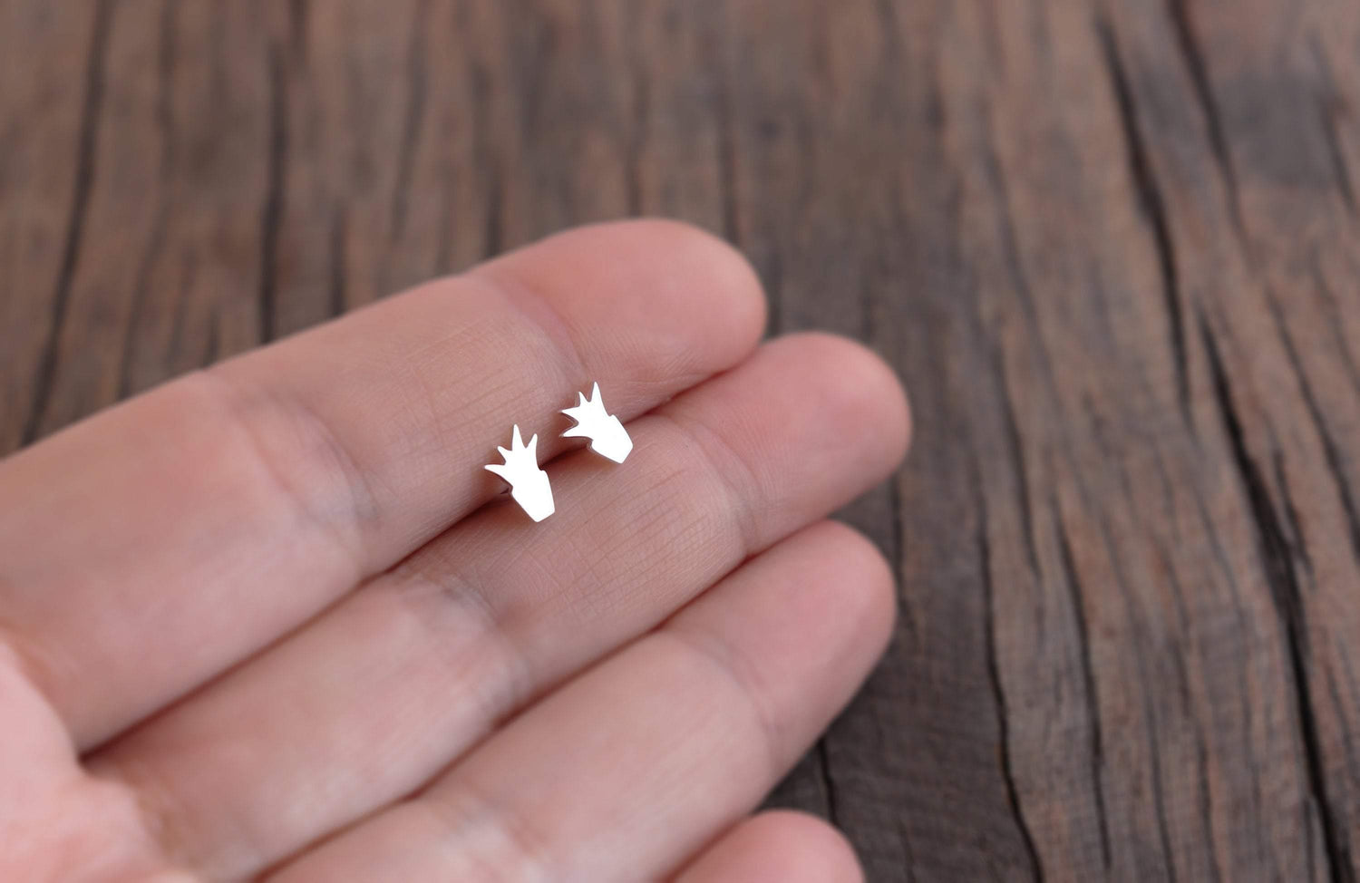 Mini Potted Succulent Stud Earrings - Sweet November Jewelry