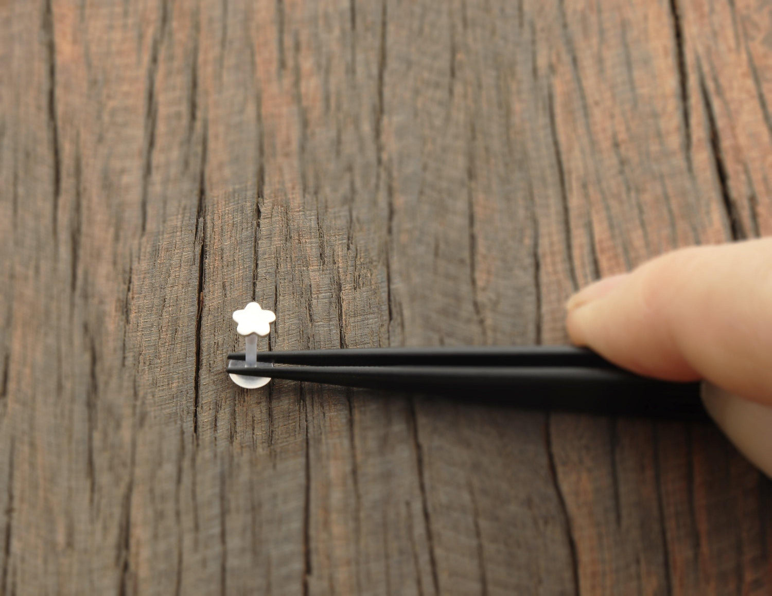 Dainty 5mm Flower Tragus Stud - Sweet November Jewelry