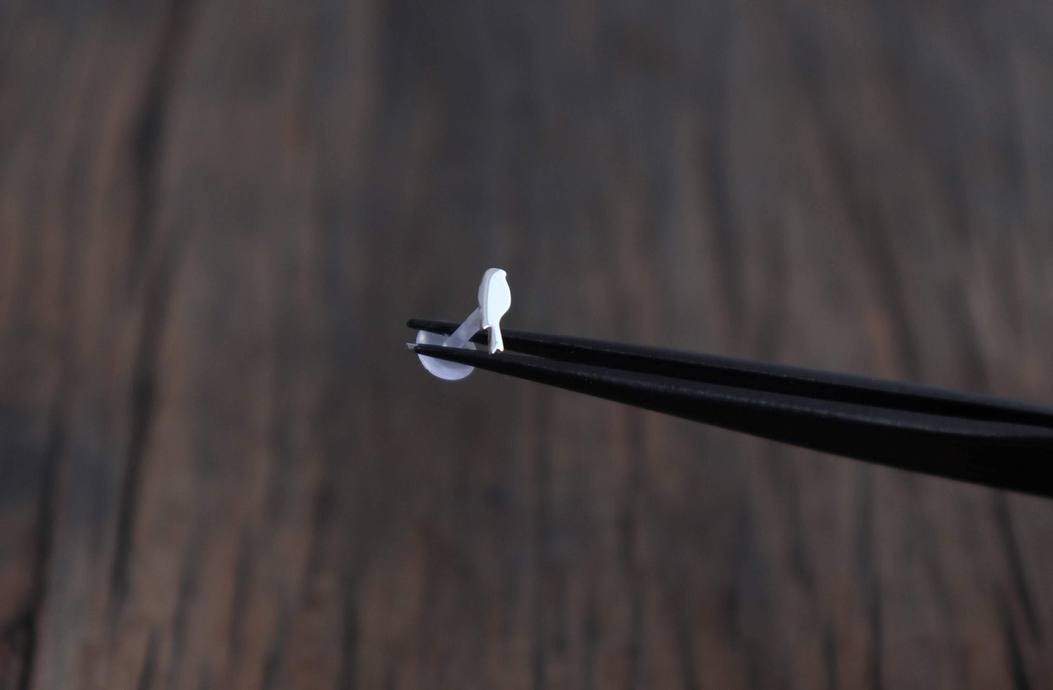 Tiny Parrot Tragus Stud Earring - Sweet November Jewelry